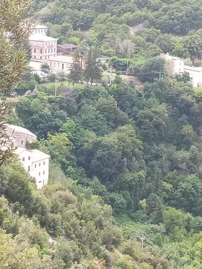 Traivicolidifoligno Otel Dış mekan fotoğraf